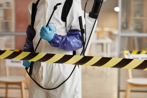 Professional Hoarding Cleanup technician working in Premont, TX